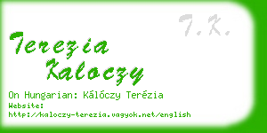 terezia kaloczy business card